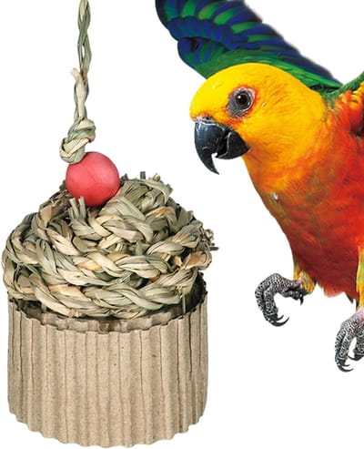 Vogel Voederspeelgoed - Voederbal Schommel - Snaveltraining Vogels - Bevordert Natuurlijk Gedrag - 9x9x9 cm - Niet gespecificeerd