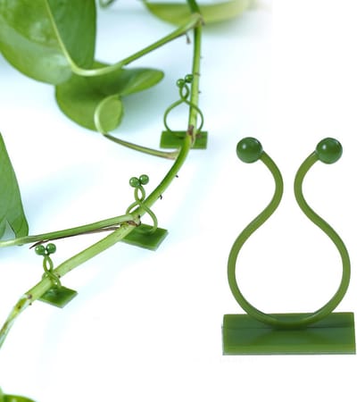 100x Zelfklevende Plantenclips voor Klimplanten - Wandsteunclips