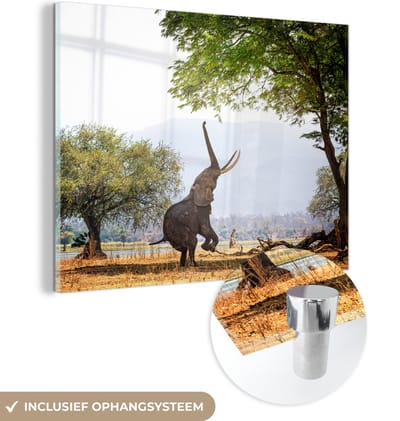 MuchoWow® Glasschilderij 80x60 cm - Schilderij acrylglas - Olifant - Boom - Bladeren - Foto op glas - Schilderijen