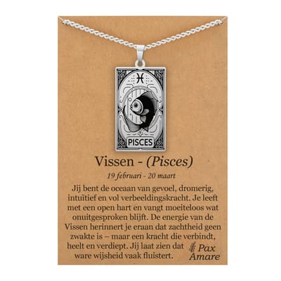 Sterrenbeeld Vissen (Pisces) Ketting op Cadeau Kaartje Zilverkleurig - Zodiac in de stijl van Rider-Waite Tarot - Roestvrij Staal / Stainless Steel - 60cm - Pax Amare