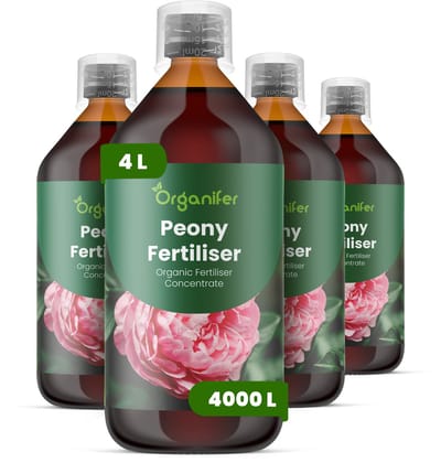 Vloeibare Meststof Voor Pioenen 4X1 L Voor 4000 L - Npk 2-1-8 - Ondersteunt Een Krachtige Opkomst In Het Voorjaar En Een Sterke Vroege Groei - Versterkt De Knopvorming Voor Grotere Vollere Bloemen - Organifer