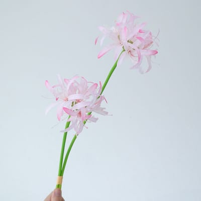 Spinlelie - lichtroze - zijden bloemen - 3 stelen - onderhoudsvrij - 50 cm - kunstbloemen