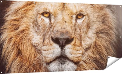 Gards Tuinposter Leeuw - Leeuwenkop - Kleur - 180x90 cm - Tuindoek - Tuindecoratie - Wanddecoratie buiten - Tuinschilderij