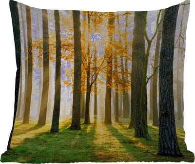 Tuinkussen - Bos - Zon - Bomen - Gras - Landschap - Natuur - 40x40 cm - Weerbestendig