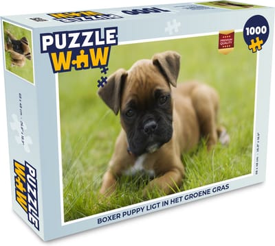Puzzel Boxer puppy ligt in het groene gras - Legpuzzel - Puzzel 1000 stukjes volwassenen