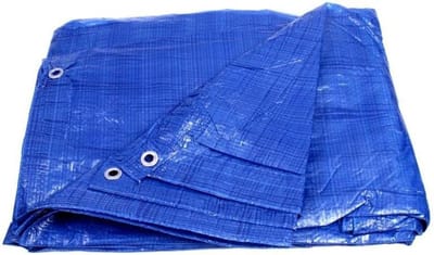 Afdekzeil - Beschermend zeil - Spullen afdekken - Versterkte randen - 5 x 6 meter - Blauw