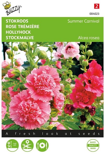 Buzzy - Stokroos Summer Carnival (Alcea rosea)