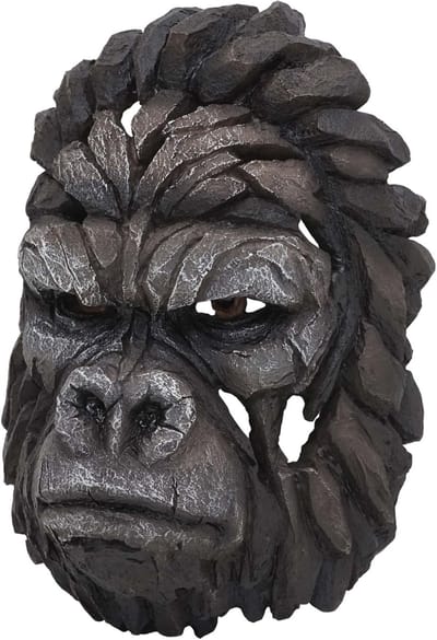 Decoratieve schedel MCW-H41, wanddecoratie hoofd trofee, polyresin binnen buiten ~ Gorilla hoofd 34cm