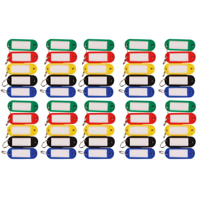 Lot de 50 porte-clés de couleurs assorties, étiquettes simples de couleur pure, kit d'étiquettes pour classification blue