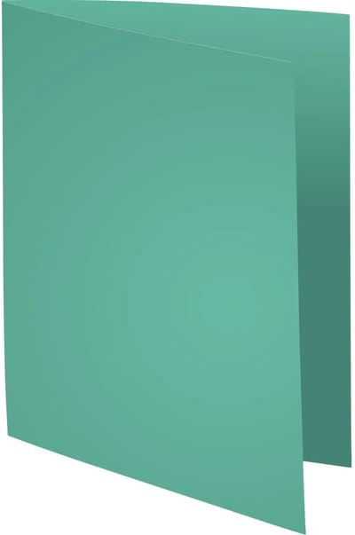 Exacompta 5x SUPER 160 - Pak van 100 dossiermappen 160g/m2- 24x32 cm voor A4. - Lichtgroen - 340004E