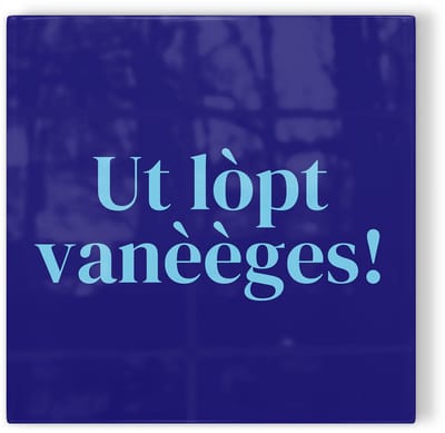 Tegeltje Tilburg Ut lòpt vanèèges! - donkerblauw lichtblauw - tegeltje stad - tegeltje met tekst