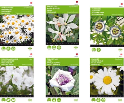 Meerjarige Bloemenzaden Wit 6 soorten | Passiebloem | Trompetplant | Muskuskaasjeskruid Alba wit | Prachtkaars Sparkle White | Margriet May Queen | Lage Margriet Silver Princess