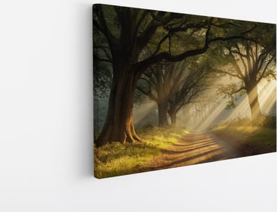 Saammp Canvas Schilderij - Landschap - Zonneschijn op een pad tussen de bomen - Natuur - 45x30 - Foto op canvas - Wanddecoratie - Muurdecoratie Woonkamer - Slaapkamer decoratie - Canvas Print