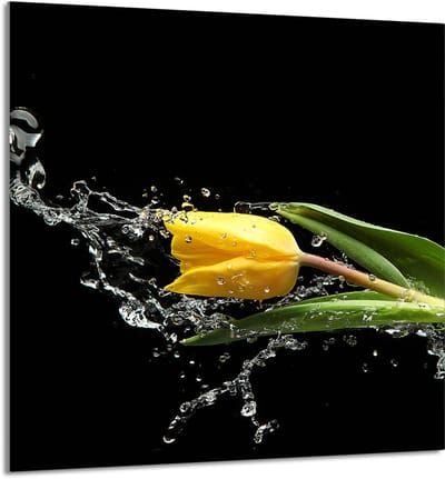 TMK ArtDeko - Keuken Glazen Paneel - 60x65 cm - Tulpen