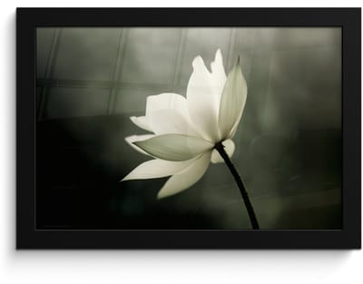 Poster in lijst - Fotolijst 30x20 cm - Posters - Wit - Lotus - Donker - Bloem - Posterlijst zwart - Decoratie - Wanddecoratie woonkamer - Muurdecoratie slaapkamer