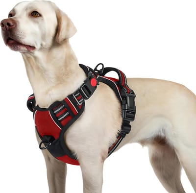 JAXY Hondenharnas - Hondentuig - Hondentuigje Kleine Hond - Y Tuig Hond - Harnas Hond - Anti Trek Tuig Hond - Reflecterend - Maat L - Rood