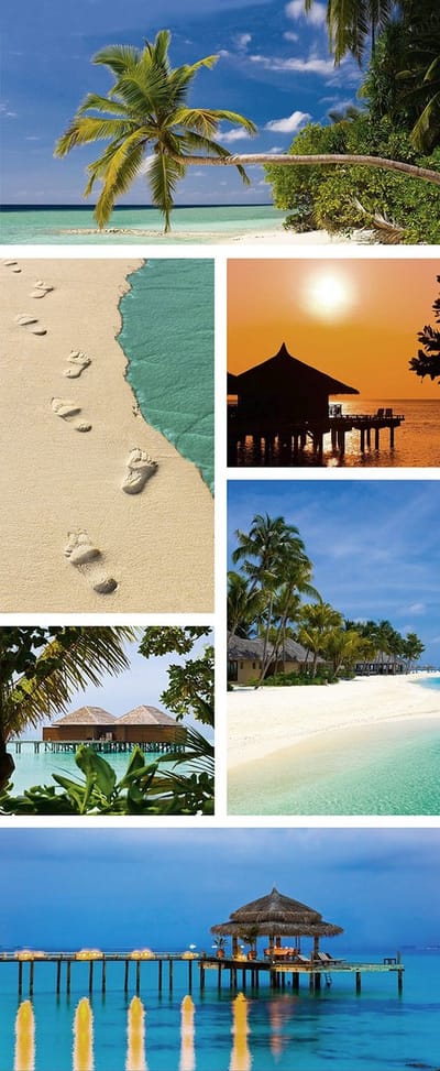 Banner Tropical Banner 75x180 cm