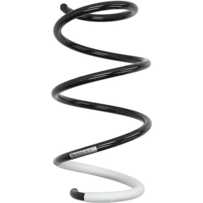 Chassisveer SACHS 993 458