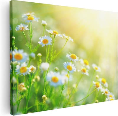 Artaza Canvas Schilderij Bloemen In Zonlicht - 40x30 cm - Klein - Muurdecoratie Woonkamer - Wanddecoratie Lente - Kamer Accessoires