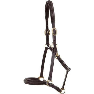 Met leer bekleed paardenhalster Premier Equine