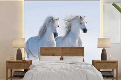 Behang - Fotobehang Winter - Paarden - Sneeuw - Breedte 300 cm x hoogte 300 cm
