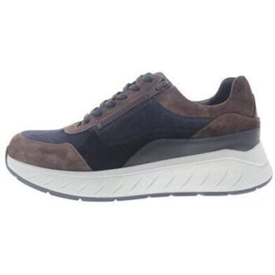 Sneakers Solidus Ken