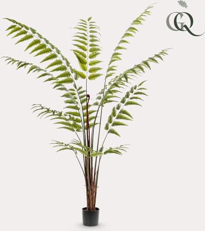 Kunstplant - Rumohra Adiantiformis - Ledervaren - 180 cm