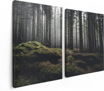Artaza Canvas Schilderij Tweeluik Bos Met Mos Op Rotsen - 120x80 - Foto Op Canvas - Canvas Print