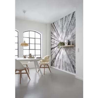 Fotobehang Weiss - Blauw - Zwart - 2,80m X 450cm