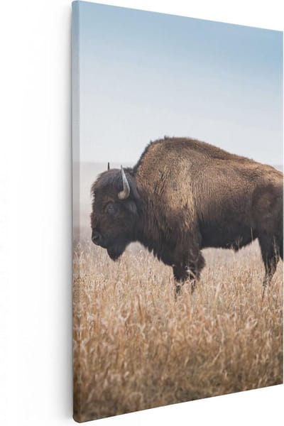 Artaza Canvas Schilderij Buffel - 20x30 cm - Klein - Wanddecoratie Wilde Dieren - Muurdecoratie Natuur - Kamer Accessoires Landschap