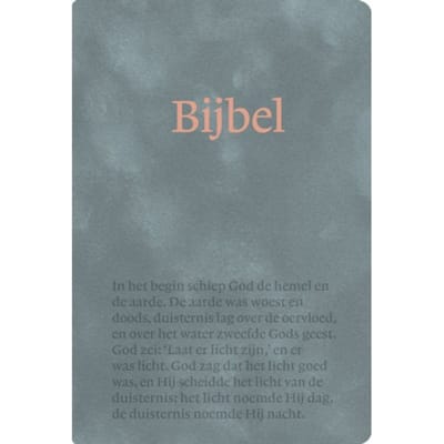 Nbv21 Handbijbel