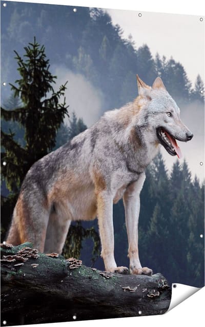 Gards Tuinposter Grijze Wolf in de Bossen - 120x160 cm - Tuindoek - Tuindecoratie - Wanddecoratie buiten - Tuinschilderij