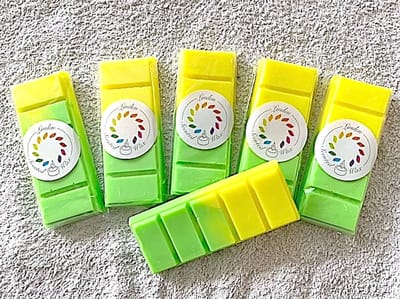Waxmelts TROPICANA waxmelt geur - Linden - zomers - fruit - handgemaakt - 100% sojawax - aromatic - voor geurbrander - huisparfum -