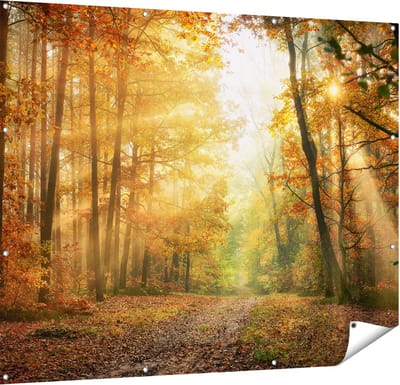 Gards Tuinposter Herfstbos met Zonneschijn - 150x120 cm - Tuindoek - Tuindecoratie - Wanddecoratie buiten - Tuinschilderij