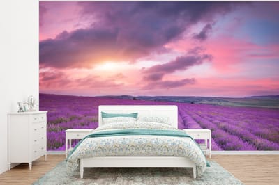 Behang - Fotobehang Lavendel - Paars - Wolken - Bloemen - Breedte 350 cm x hoogte 260 cm