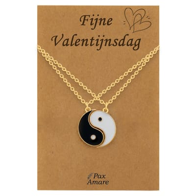 Koppel Ketting voor 2 'Fijne Valentijnsdag' - Magnetische Yin Yang - Vriendschapsketting op Cadeau Kaartje - 45cm + 5cm verstelbaar - Goudkleurig - BFF Hanger - Pax Amare