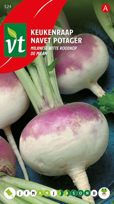 Keukenraap Milanese Witte Roodkop - Krokante Raap met Unieke Kleur