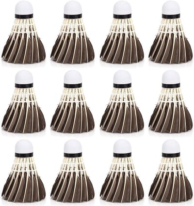 12 Professionele Badminton Shuttlecock Set - Herbruikbare Veerballen voor Beginners en Training