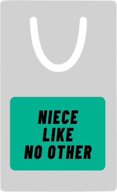 Hacebo® - niece like no other metalen boekenlegger - Nicht - geweldige nicht - niemand anders - verjaardag - cadeau - kado - bedankje - geschenk Bladwijzer boekenleggers - 7.6 cm x 5cm