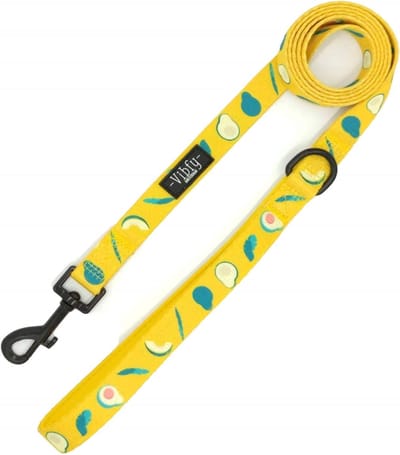 Vibfy Hondenriem Avocado - Hondenlijn - Uitlaatriem Hond - 160 cm - Sterke Leiband - Geel
