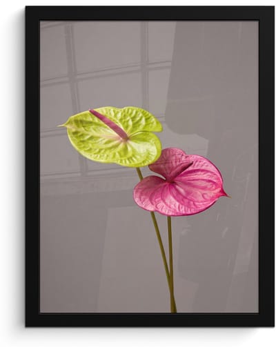 Poster in lijst - Fotolijst 30x40 cm - Posters - Planten - Anthurium - Groen - Roze - Posterlijst zwart - Decoratie - Wanddecoratie woonkamer - Muurdecoratie slaapkamer