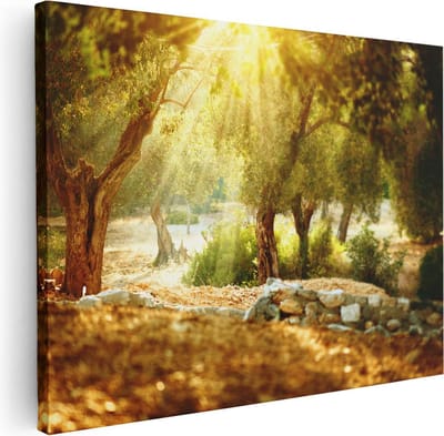 Artaza Canvas Schilderij Olijfboom - 40x30 cm - Klein - Wanddecoratie Natuur - Muurdecoratie Woonkamer - Schilderijen Op Canvas Landschap