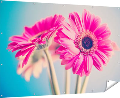 Gards Tuinposter Twee Roze Anjers - Bloemen - 180x120 cm - Tuindoek - Tuindecoratie - Wanddecoratie buiten - Tuinschilderij