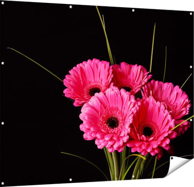 Gards Tuinposter Roze Gerbera Bloemen - 150x120 cm - Tuindoek - Tuindecoratie - Wanddecoratie buiten - Tuinschilderij