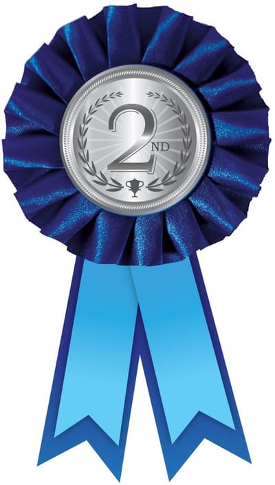 Rozet ''2nd''