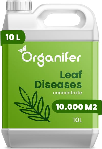 Leaf Diseases Bladziekten Concentraat (10L, 10.000m2) - Bladziekten en bladvlekkenziekte – Meeldauw – Meeldauw, roest, bladvlekken, sterroetdauw en gras-schimmel – Organifer