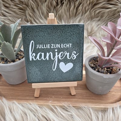 Robuust Wenstegeltje – Jullie Zijn Echt Kanjers – Hip trendy tegeltje – Bedankje voor Zorghelden, Team of Collega’s – Stoere en Betekenisvolle Wanddecoratie – Trendy nu – Decoratief Tegeltje met Standaard – Cadeau Idee