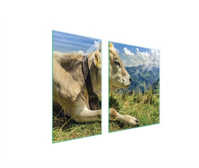 TMK ArtDeko - Snijplank - Glas - 90x52 cm - Koe Motief