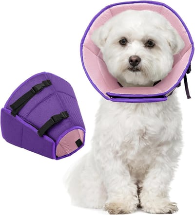 Hondenhalsband, comfortabele bescherming tegen lekken, beschermende kraag, verstelbare hondenhalsband, lekbescherming voor honden, preventie van bijt- en lekwonden, paars, M