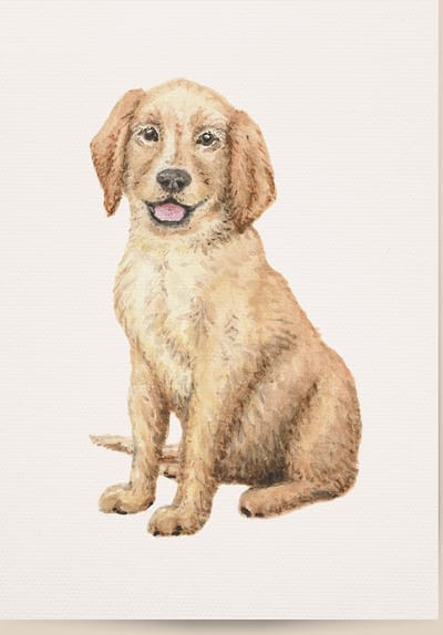 World of Mies poster hondje puppy - A4 - mooi dik papier - Snel verzonden! - huisdieren - dieren in aquarel - geschilderd door Mies